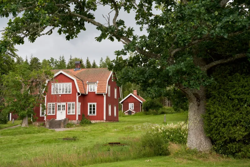 Hem igen: En guide för dig som vill återupptäcka Sverige efter lång tid bort