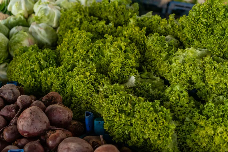 Smaka på Sydsverige: En kulinarisk resa genom Skåne och Blekinges bästa matupplevelser